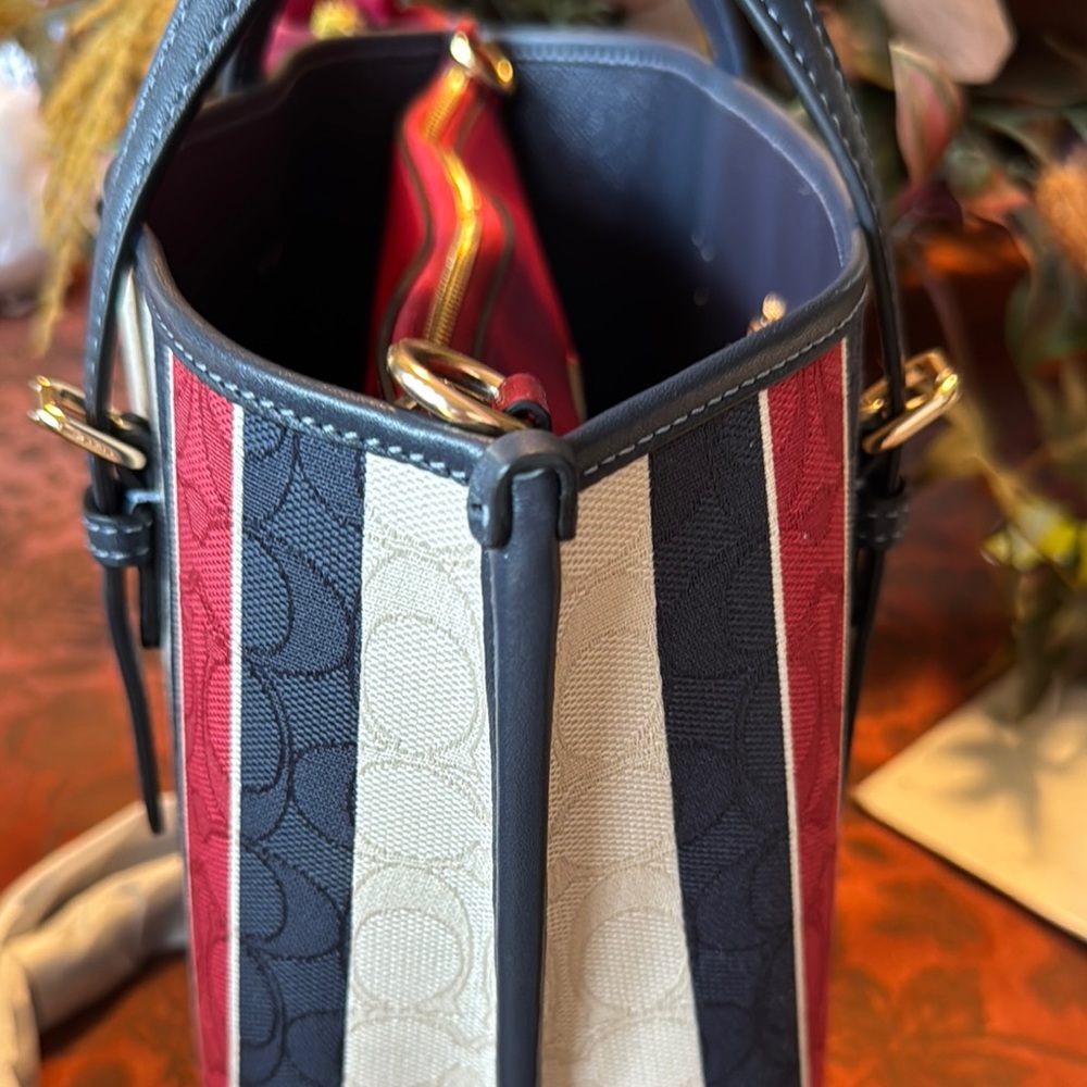 Coach Multicolor Striped Women's Bag - Picture 10 of 16